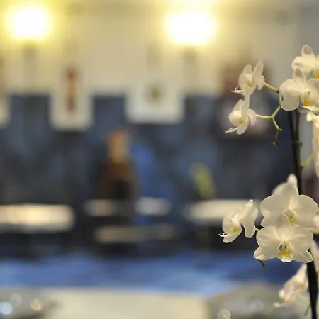 帕西提亚波西塔诺艺术酒店 酒店 波西塔諾