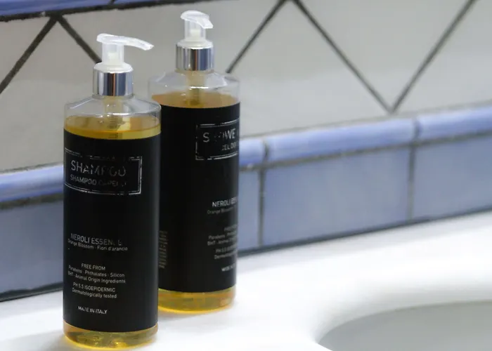 아트 파시티아 4*