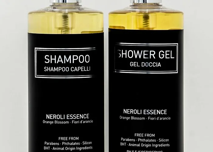 호텔 아트 파시티아 4*