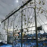Art Pasitea Hotel
